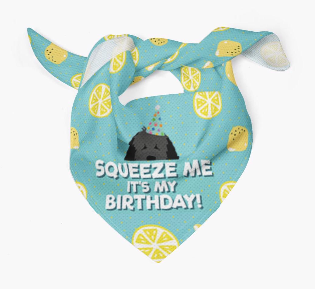 'Squeeze Me, It's My Birthday' Bandana
