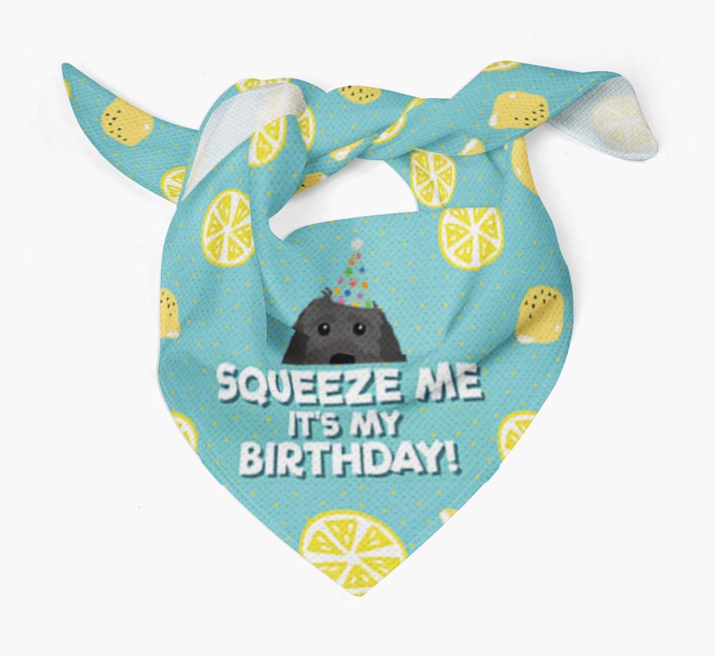 'Squeeze Me, It's My Birthday' Bandana