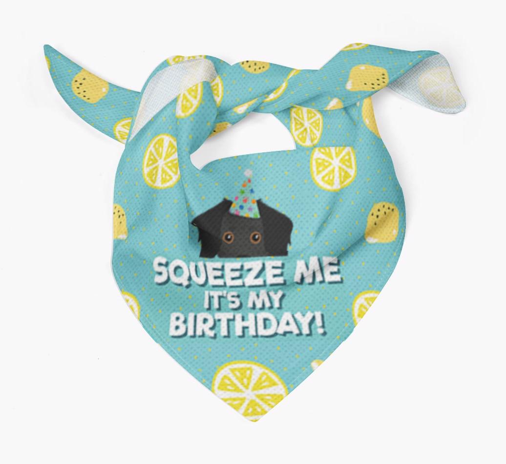 'Squeeze Me, It's My Birthday' Bandana
