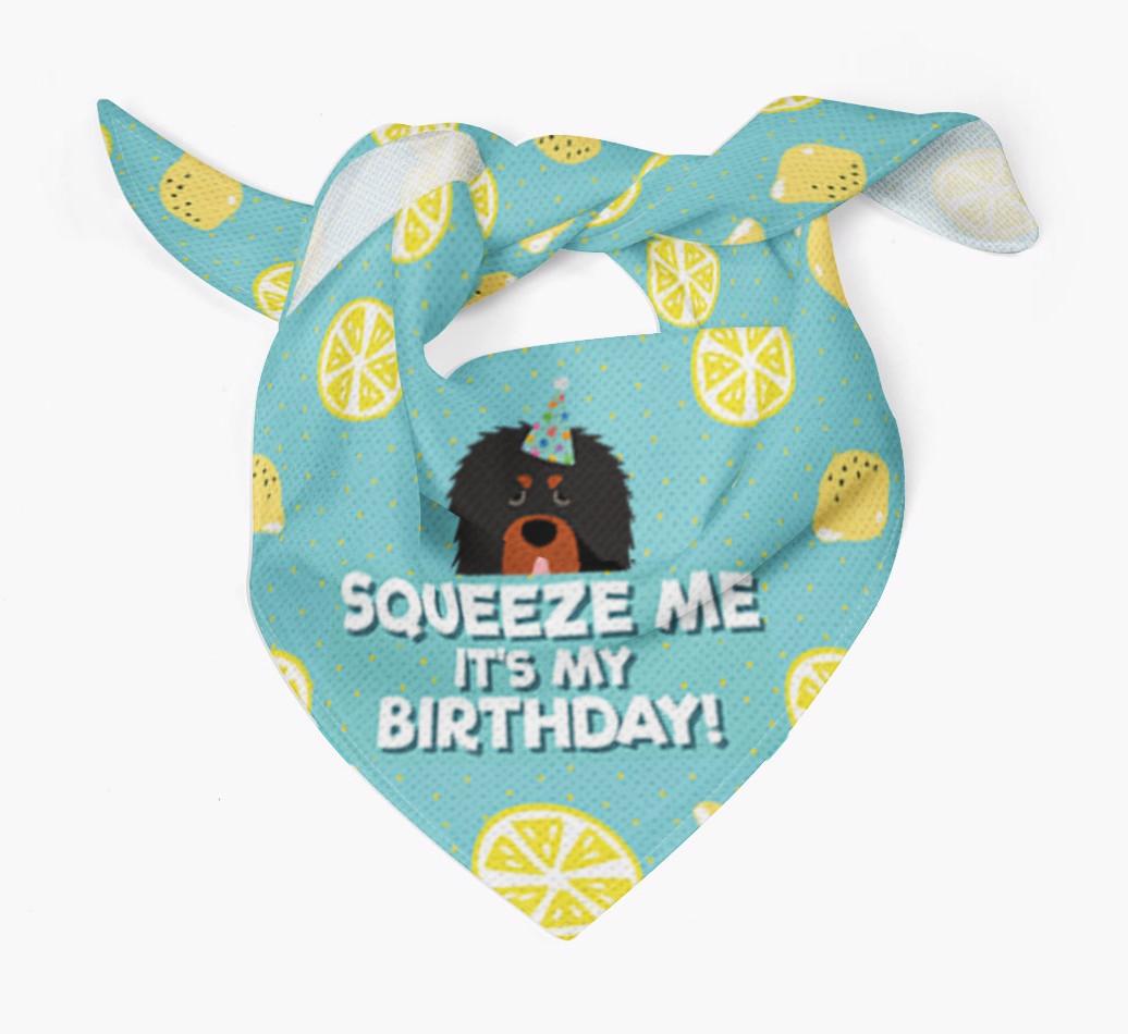 'Squeeze Me, It's My Birthday' Bandana