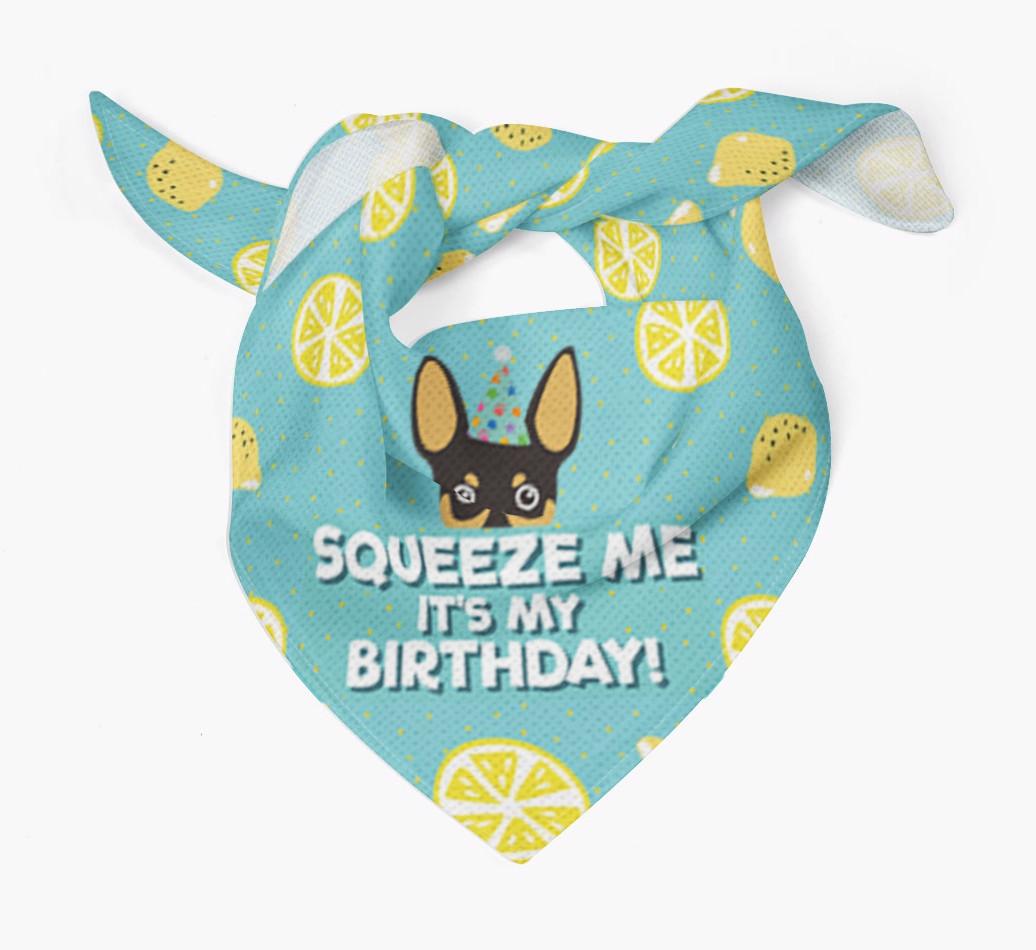 'Squeeze Me, It's My Birthday' Bandana