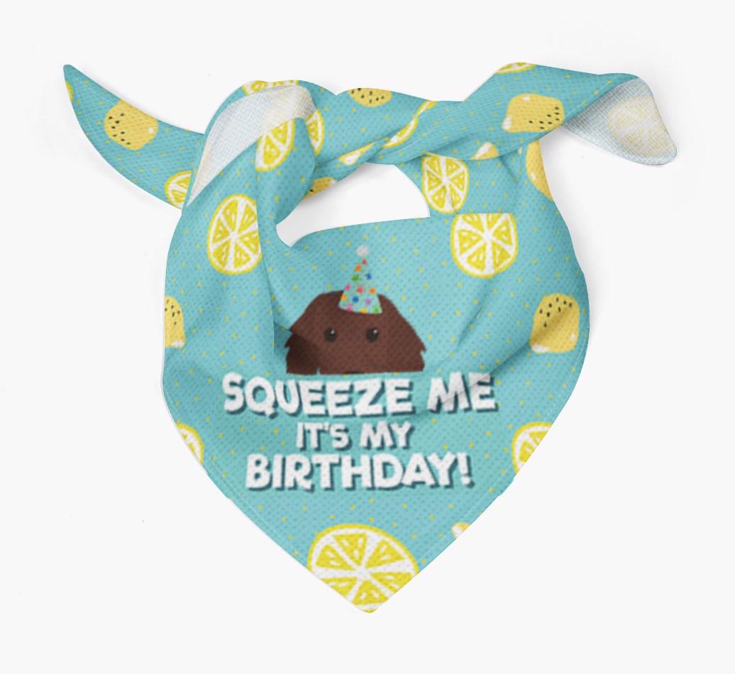 'Squeeze Me, It's My Birthday' Bandana