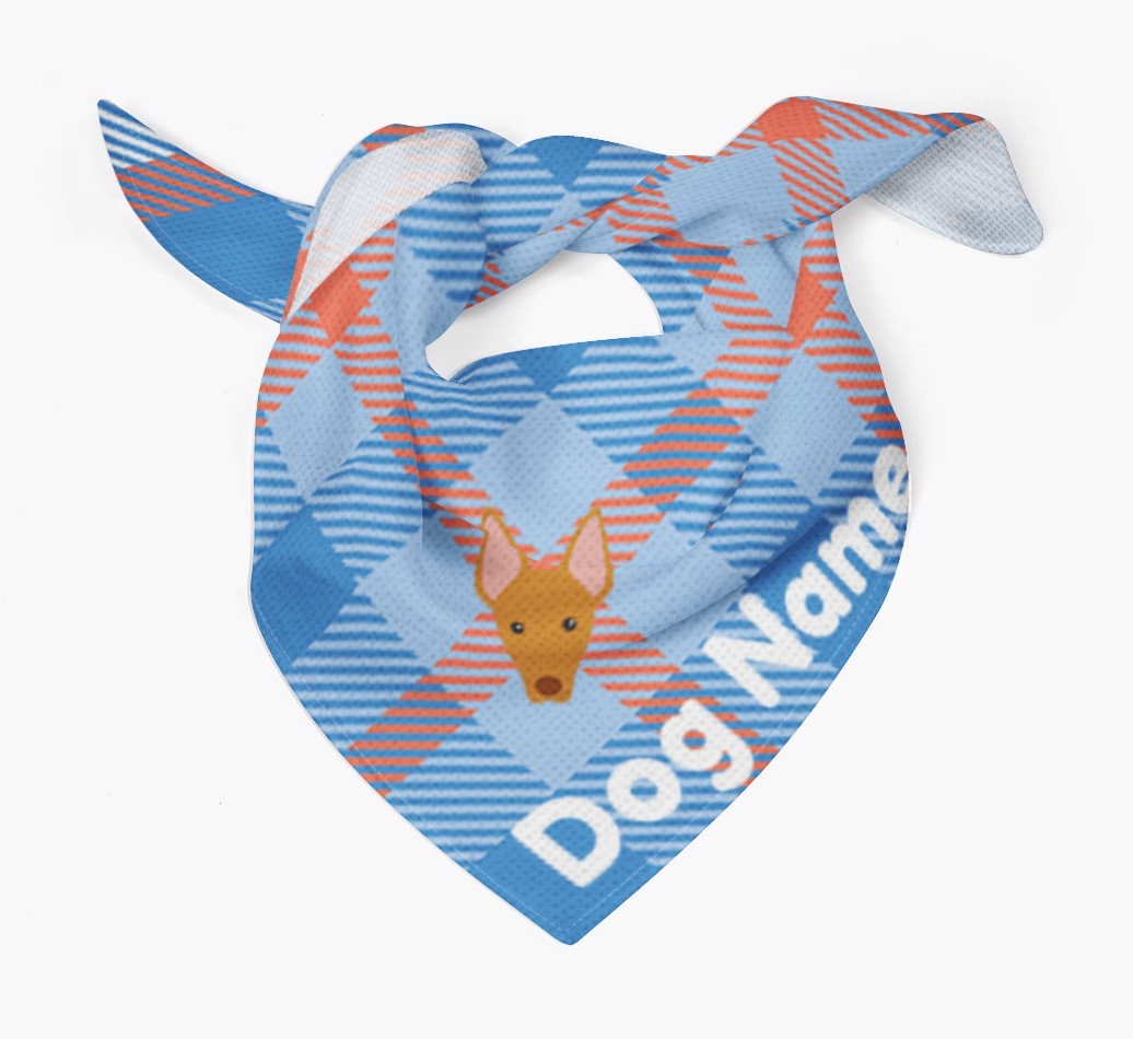 Personalised Tartan Dog Bandana for {dogsName}