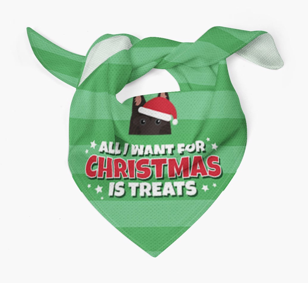 'All I Want for Christmas' - Personalized {breedFullName} Bandana