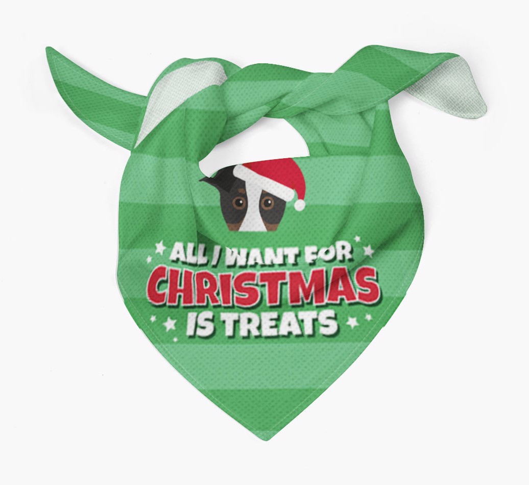 'All I Want for Christmas' - Personalized {breedFullName} Bandana