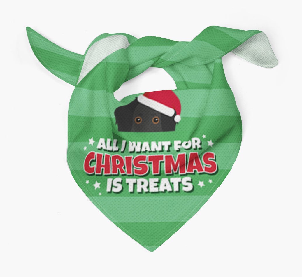 'All I Want for Christmas' - Personalized {breedFullName} Bandana
