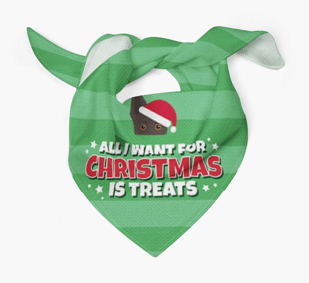 'All I Want for Christmas' - Personalized {breedFullName} Bandana