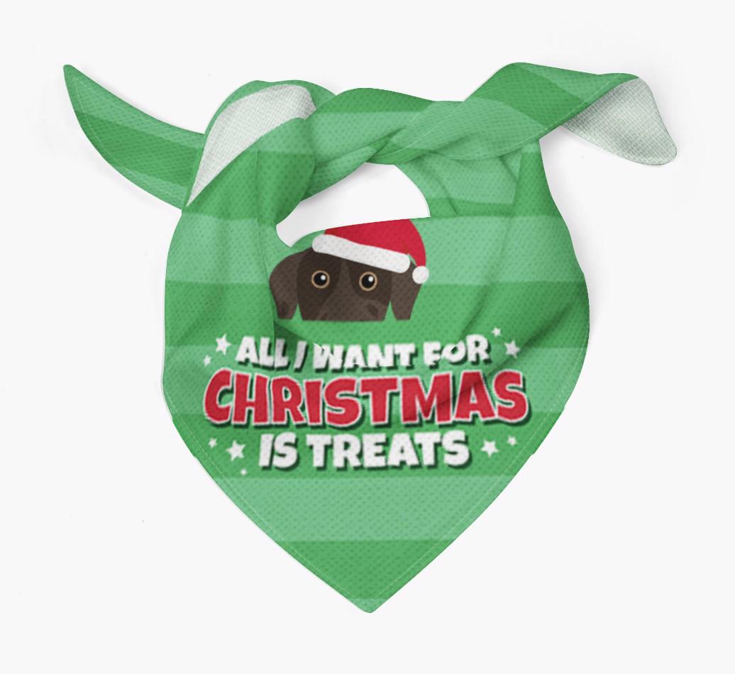 'All I Want for Christmas' - Personalized {breedFullName} Bandana