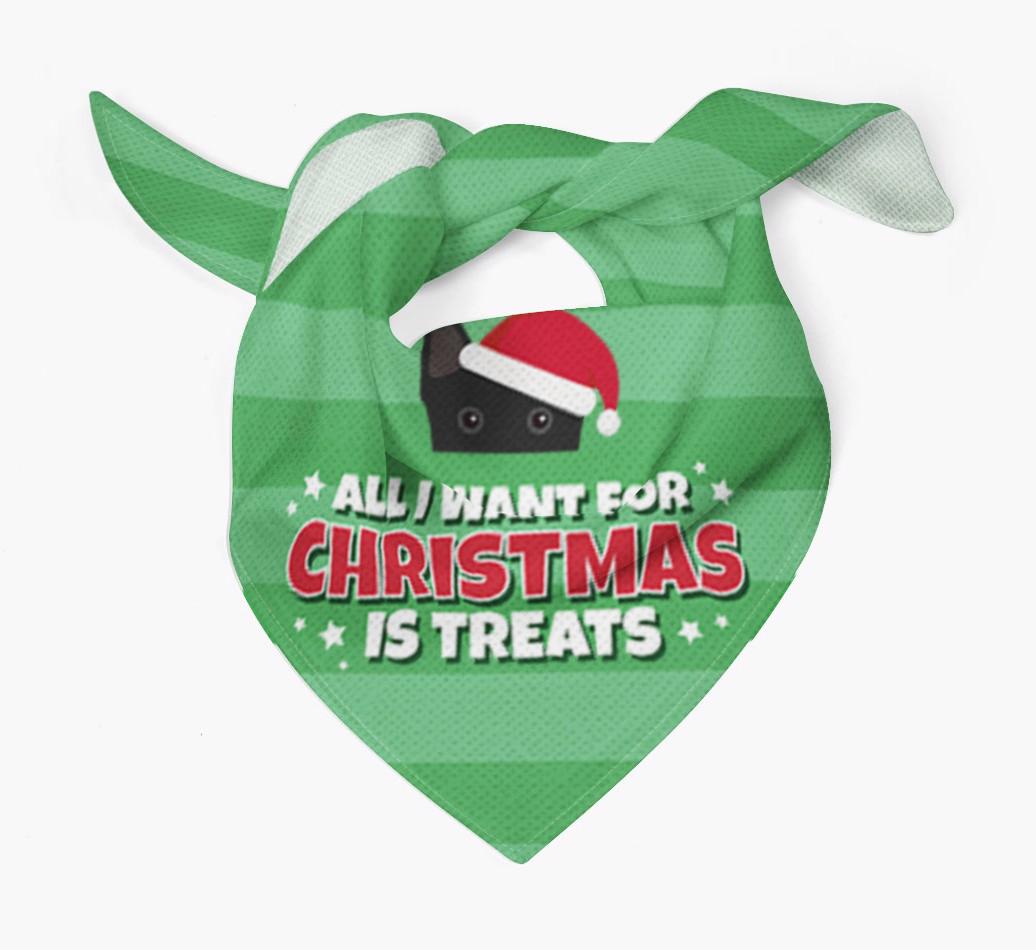'All I Want for Christmas' - Personalized {breedFullName} Bandana
