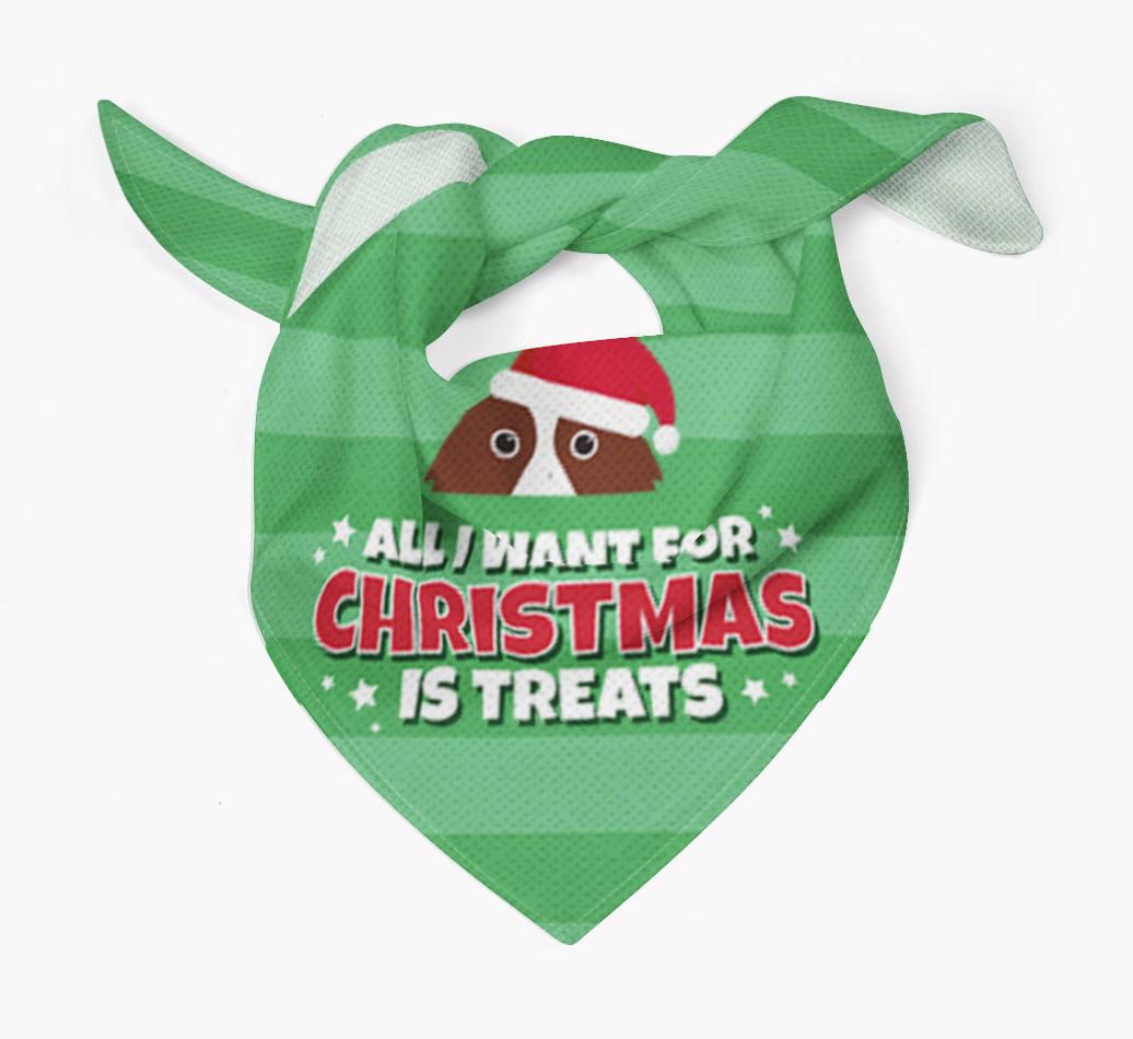 'All I Want for Christmas' - Personalized {breedFullName} Bandana