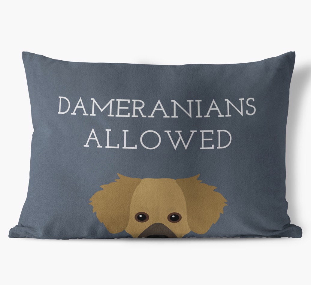 Dogs Allowed: Personalised {breedFullName} Soft Touch Cushion