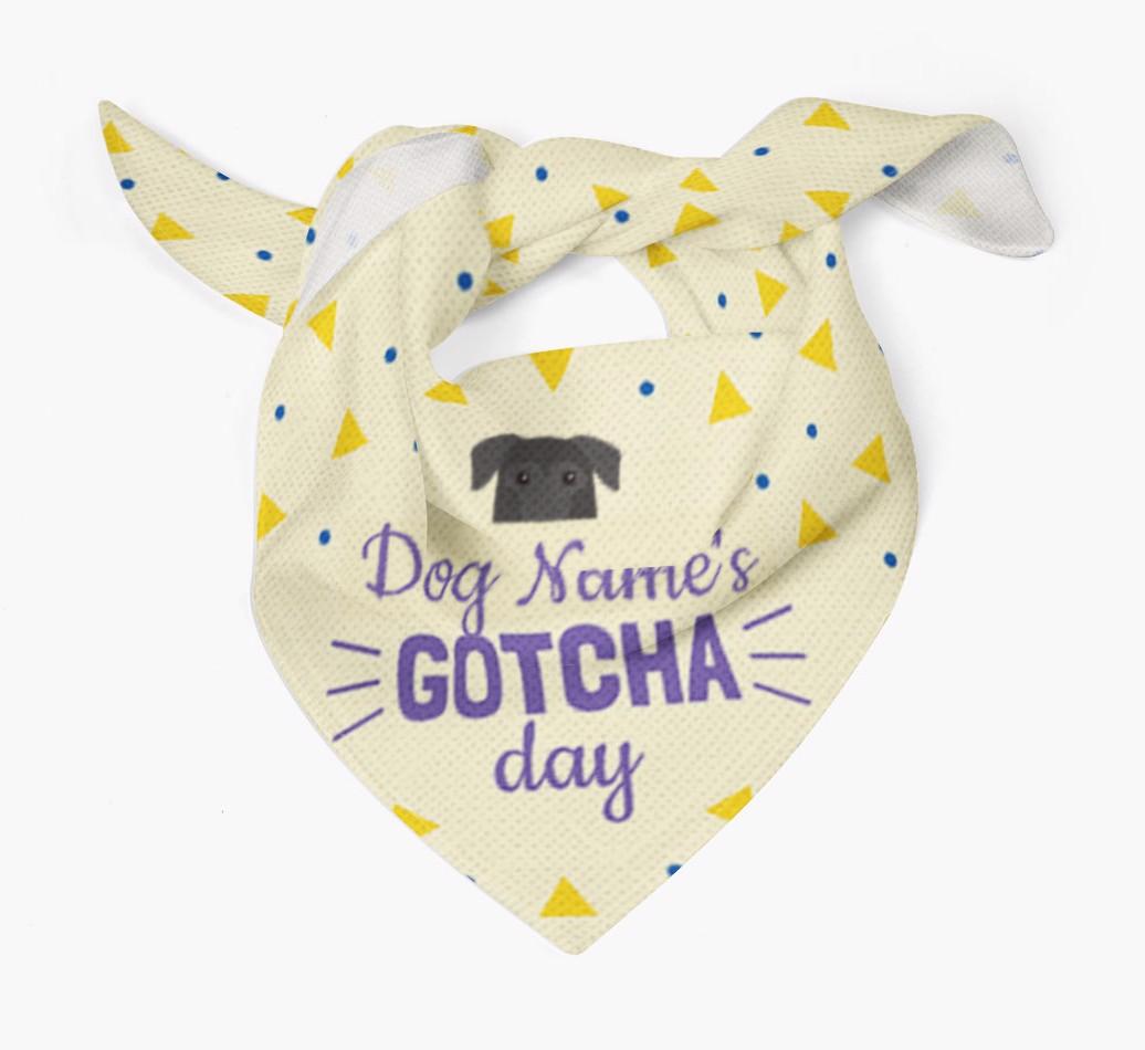 'Gotcha Day' - Personalized {breedFullName} Bandana