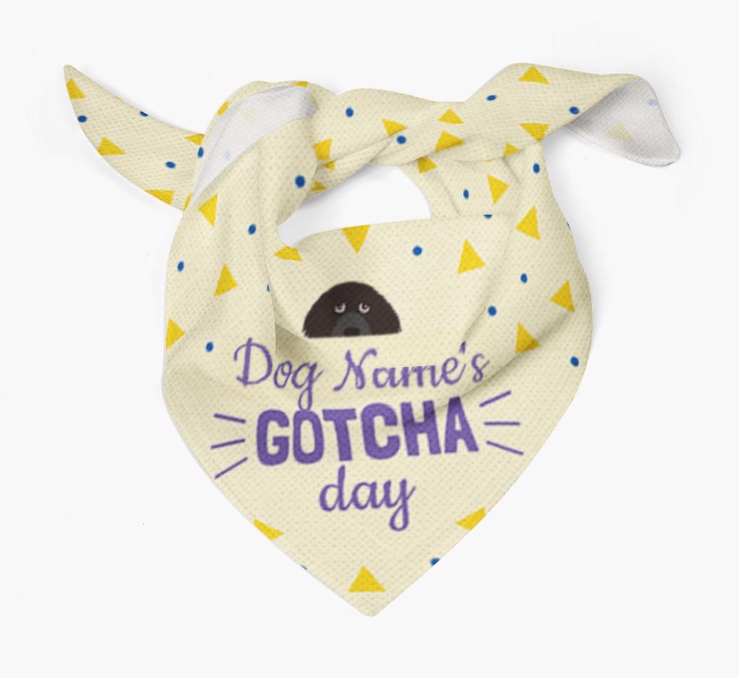 'Gotcha Day' - Personalized {breedFullName} Bandana