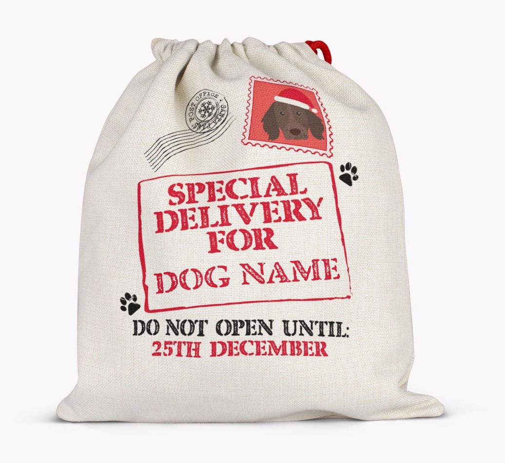Special Delivery for {dogsName}: Personalized {breedFullName} Santa Sack
