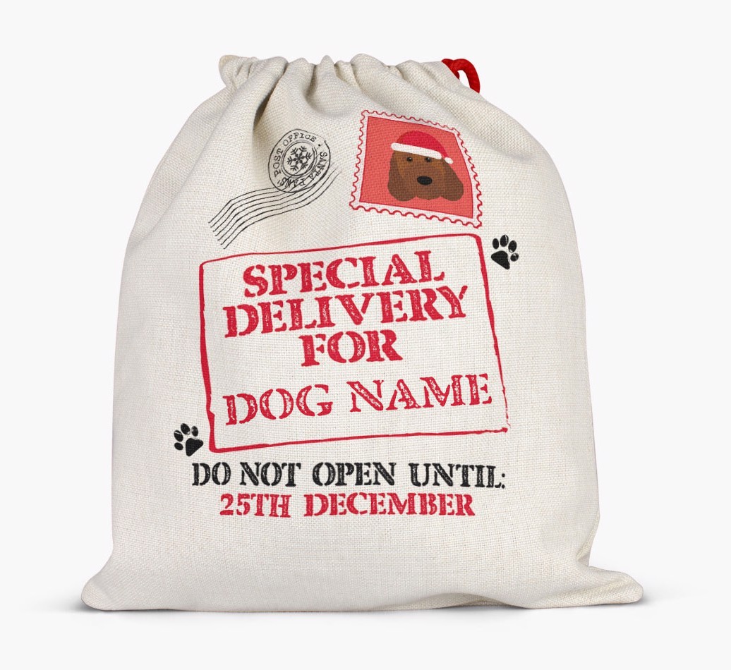 Special Delivery for {dogsName}: Personalised {breedFullName} Santa Sack