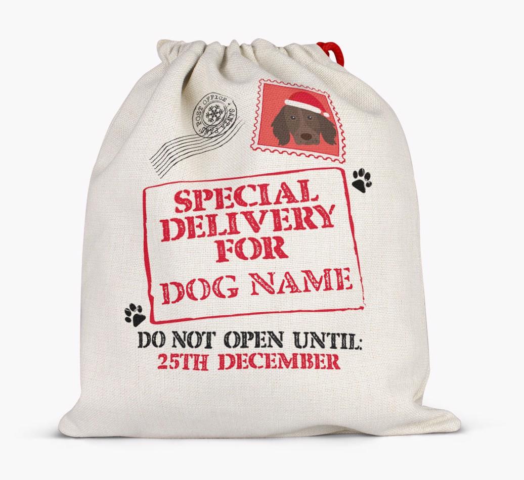 Special Delivery for {dogsName}: Personalized {breedFullName} Santa Sack