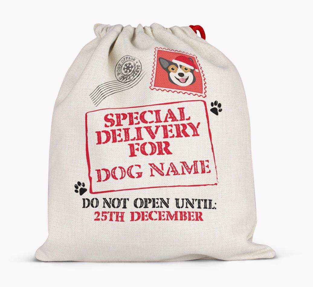 Special Delivery for {dogsName}: Personalized {breedFullName} Santa Sack