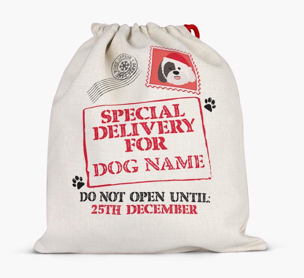 Special Delivery for {dogsName}: Personalized {breedFullName} Santa Sack