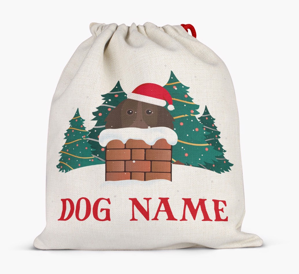 Peeking Dog with Santa Hat: Personalized {breedFullName} Santa Sack