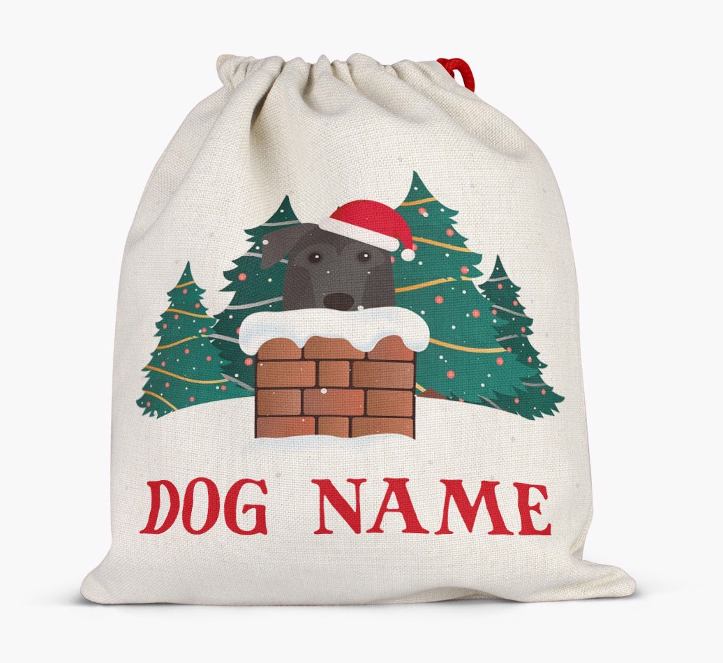 Peeking Dog with Santa Hat: Personalized {breedFullName} Santa Sack