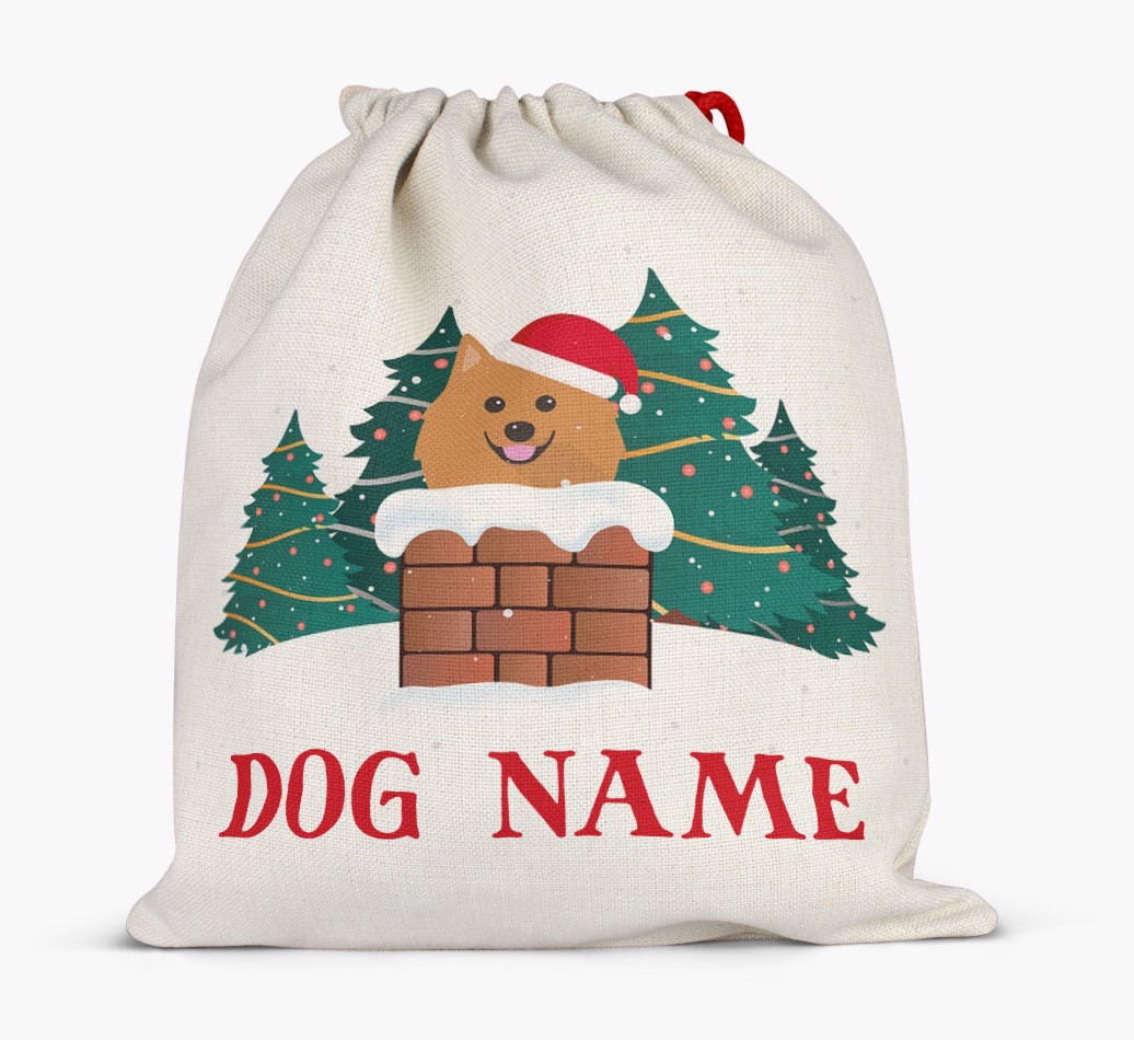 Peeking Dog with Santa Hat: Personalised {breedFullName} Santa Sack
