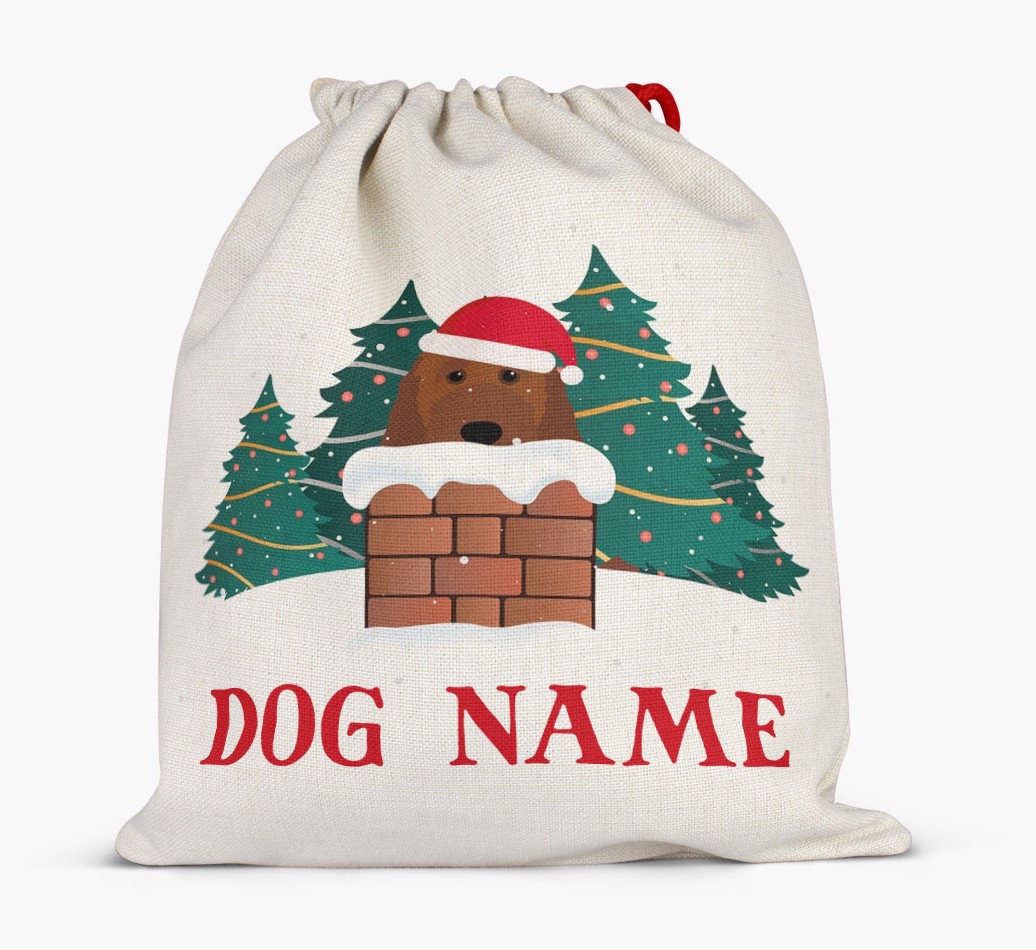 Peeking Dog with Santa Hat: Personalised {breedFullName} Santa Sack