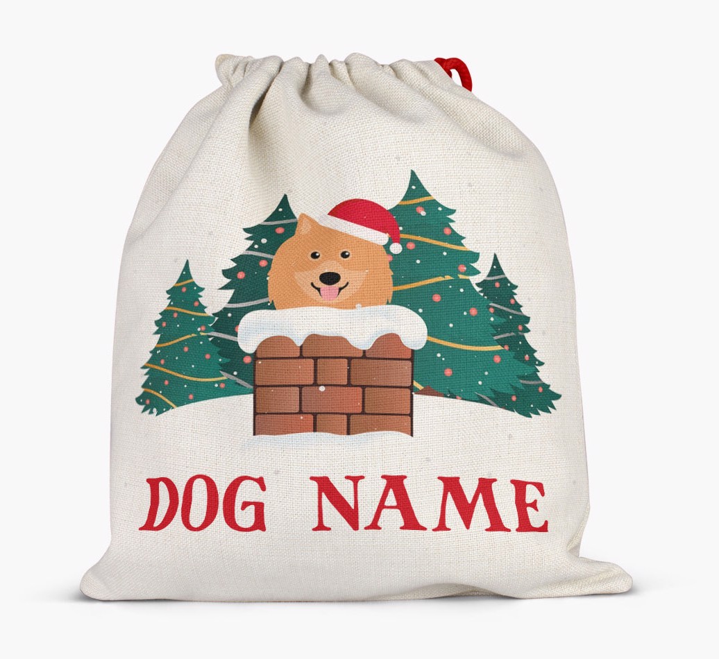 Peeking Dog with Santa Hat: Personalized {breedFullName} Santa Sack