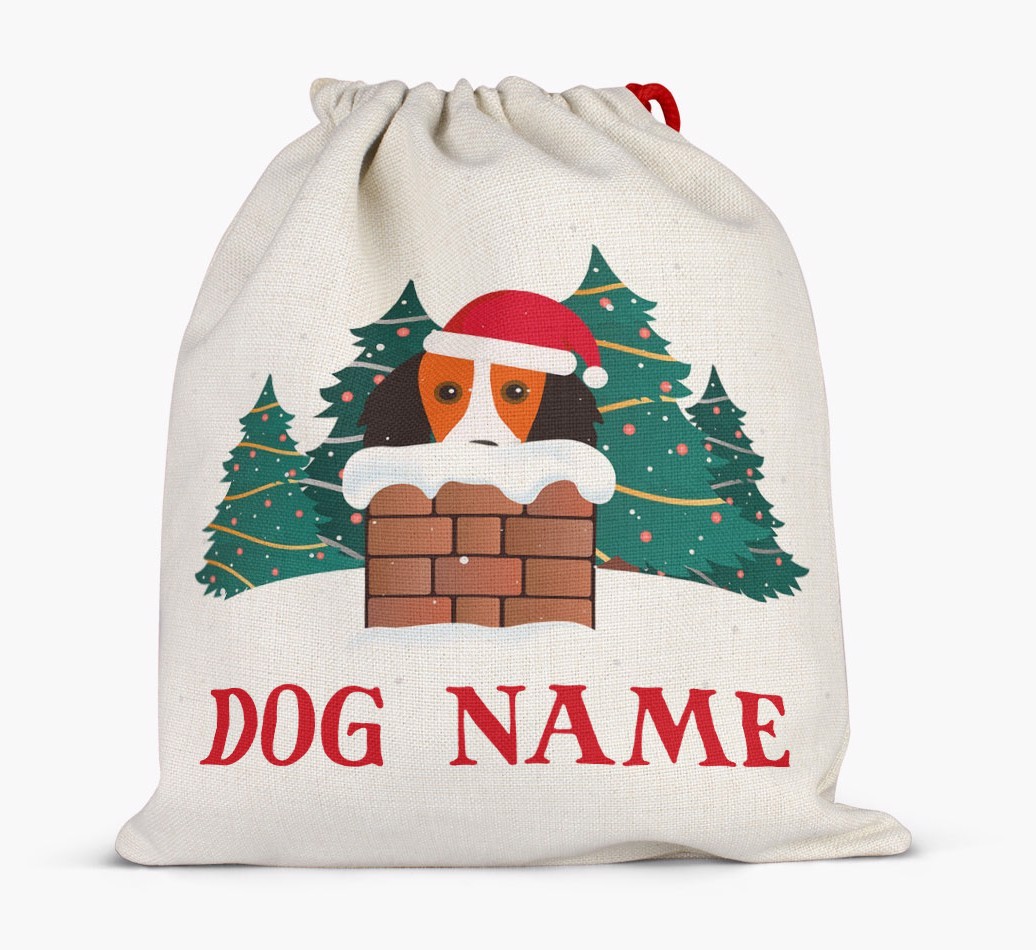 Peeking Dog with Santa Hat: Personalized {breedFullName} Santa Sack