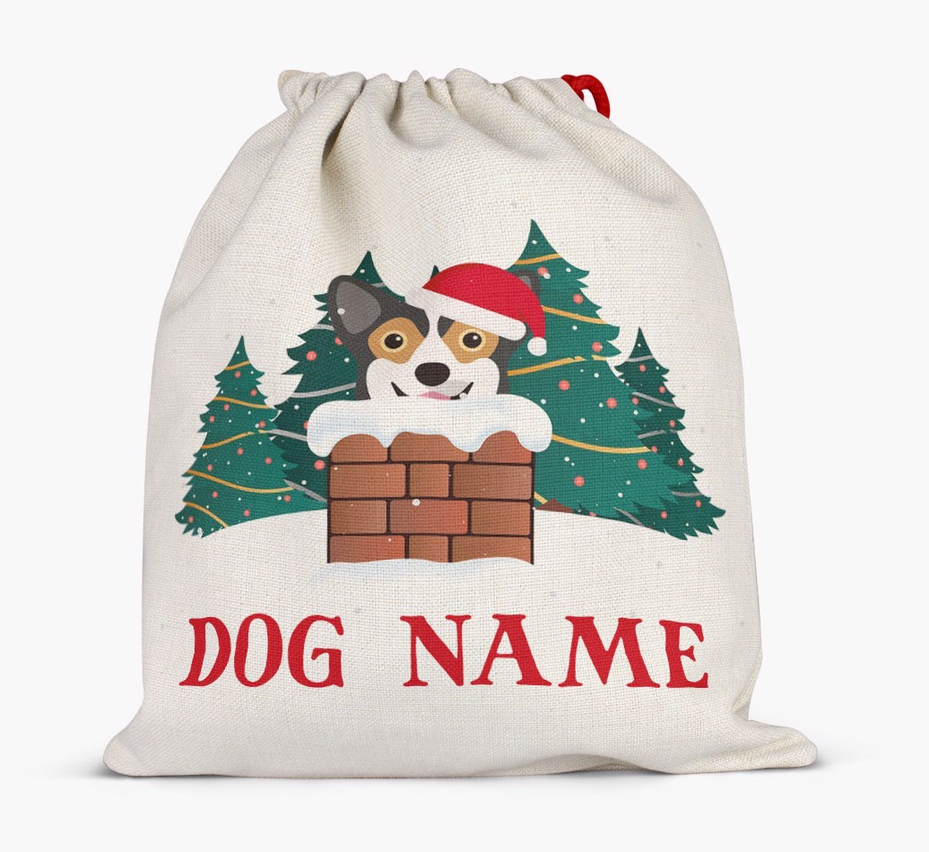 Peeking Dog with Santa Hat: Personalized {breedFullName} Santa Sack