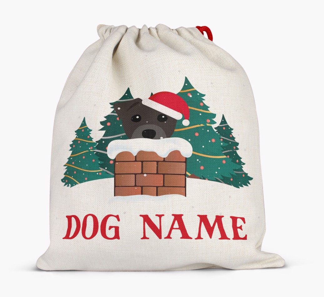 Peeking Dog with Santa Hat: Personalized {breedFullName} Santa Sack