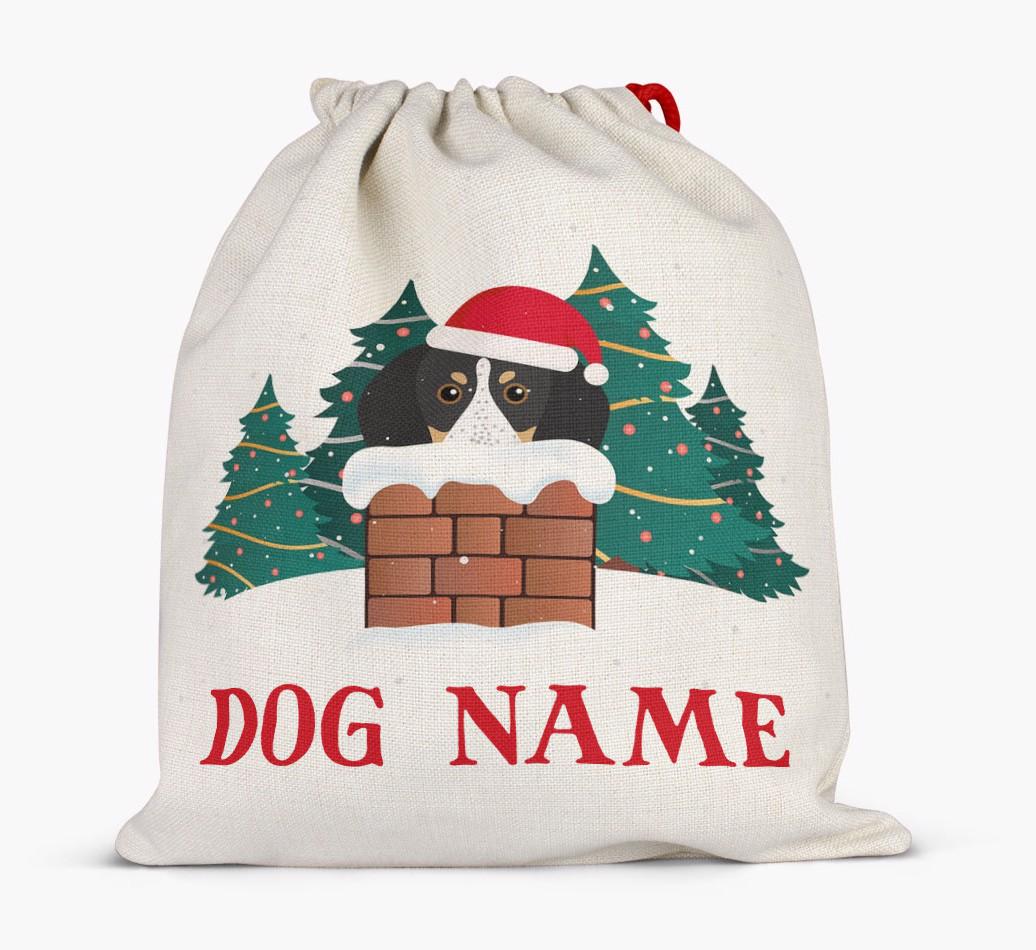 Peeking Dog with Santa Hat: Personalized {breedFullName} Santa Sack