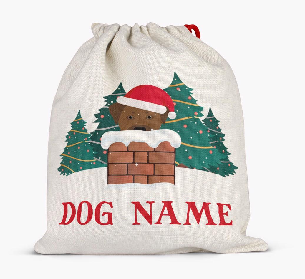 Peeking Dog with Santa Hat: Personalized {breedFullName} Santa Sack