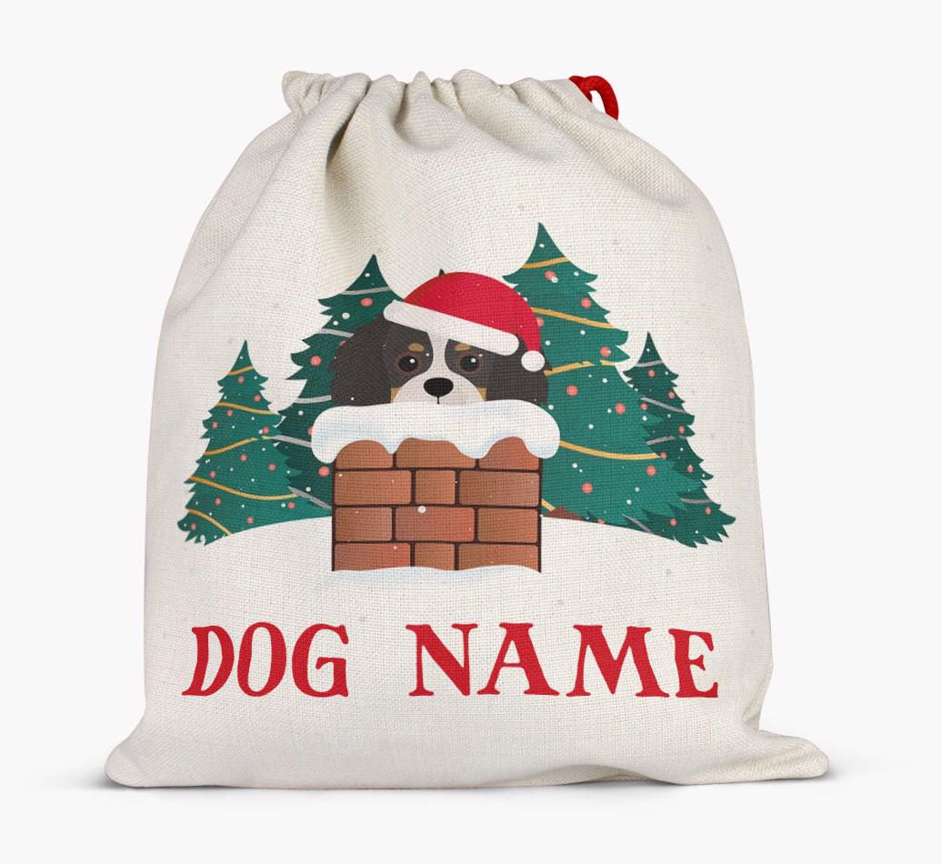 Peeking Dog with Santa Hat: Personalized {breedFullName} Santa Sack