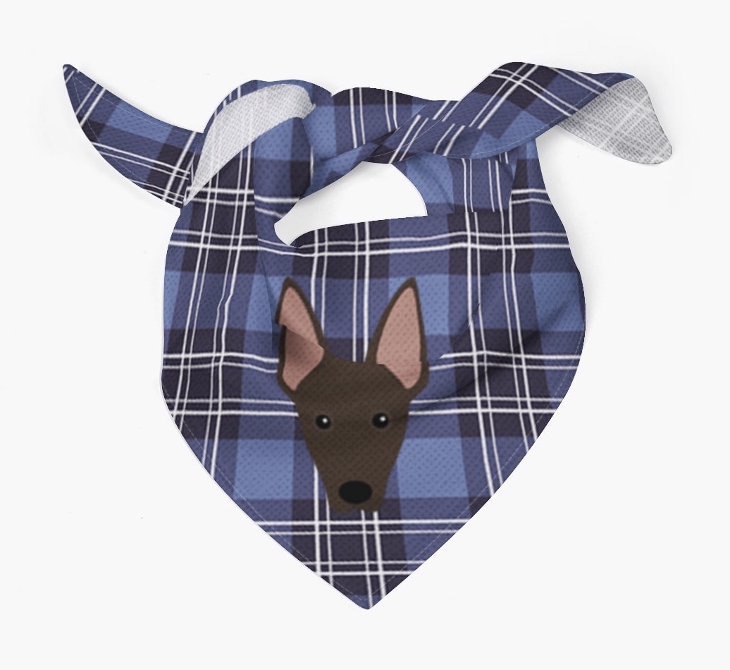 Scottish Tartan Pattern - Personalised {breedFullName} Bandana