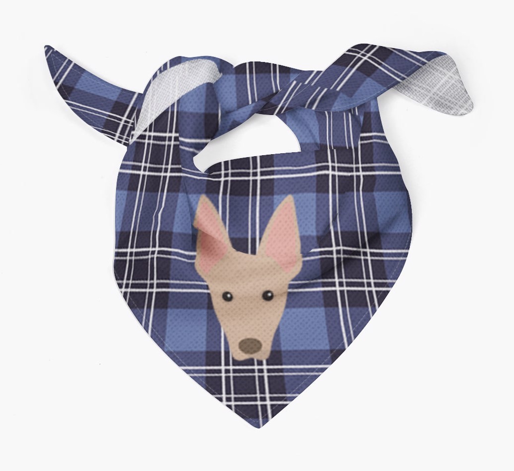 Scottish Tartan Pattern - Personalized {breedFullName} Bandana