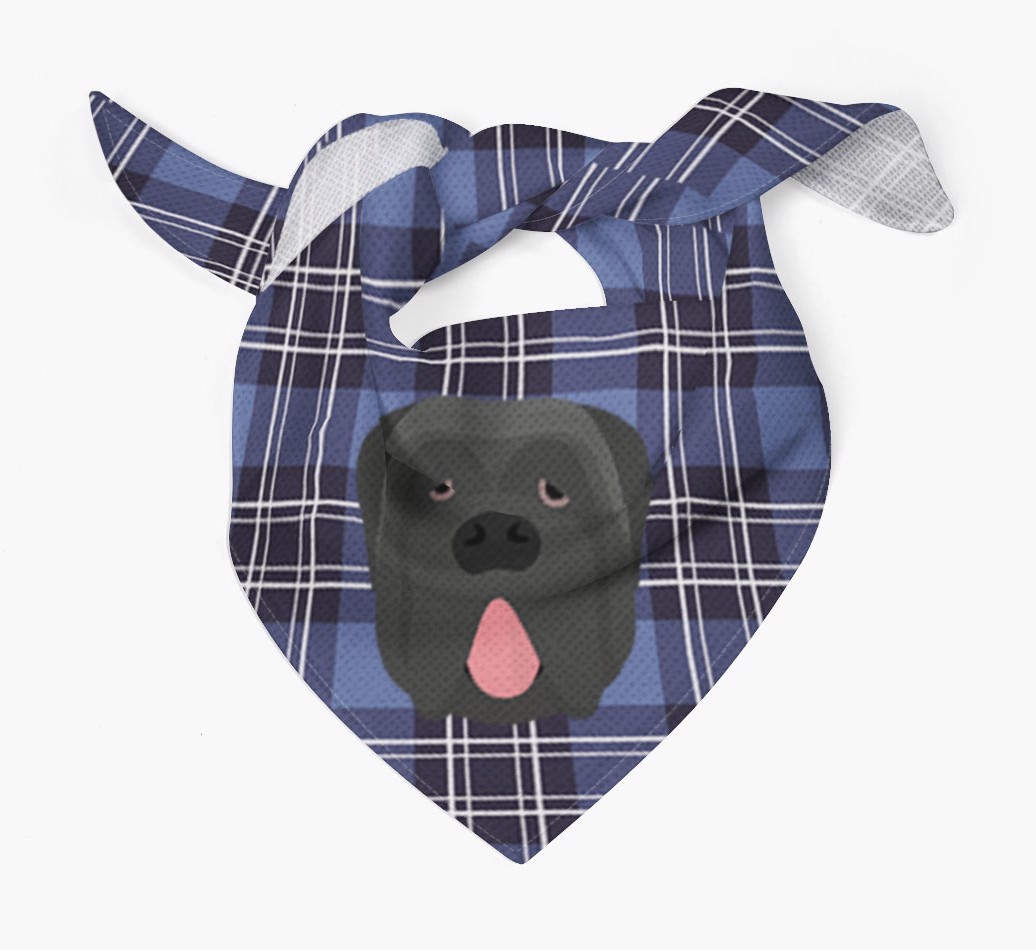 Scottish Tartan Pattern - Personalized {breedFullName} Bandana