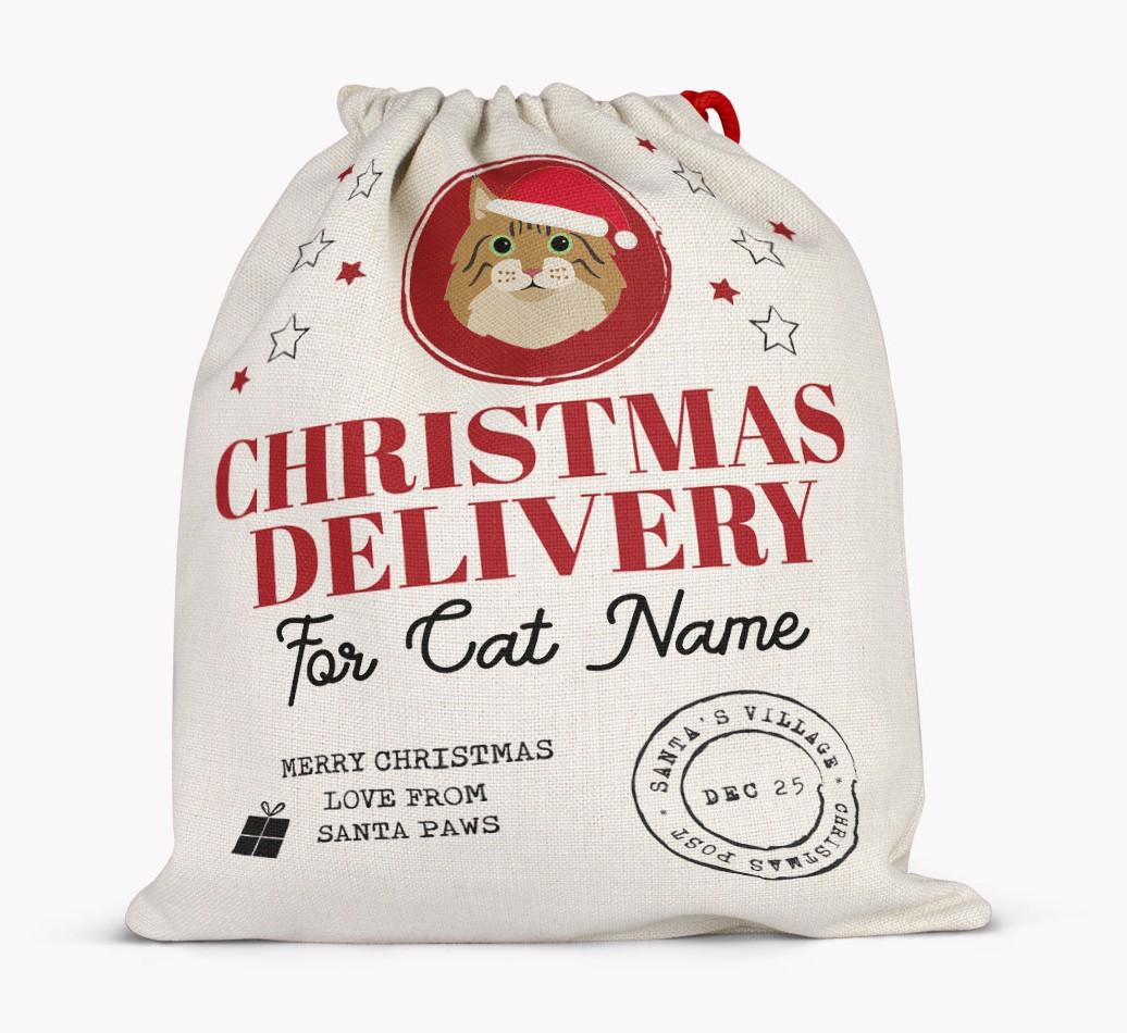 'Christmas Delivery' - Personalised {breedCommonName} Santa Sack