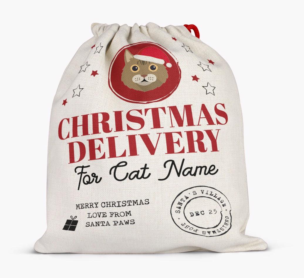 'Christmas Delivery' - Personalised {breedCommonName} Santa Sack