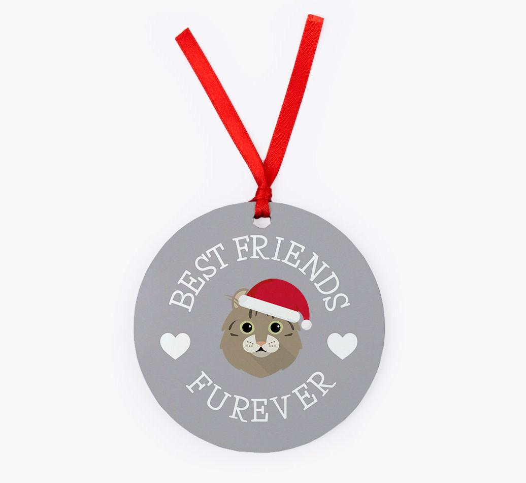 'Best Friends Furever' - {breedCommonName} Christmas Decoration