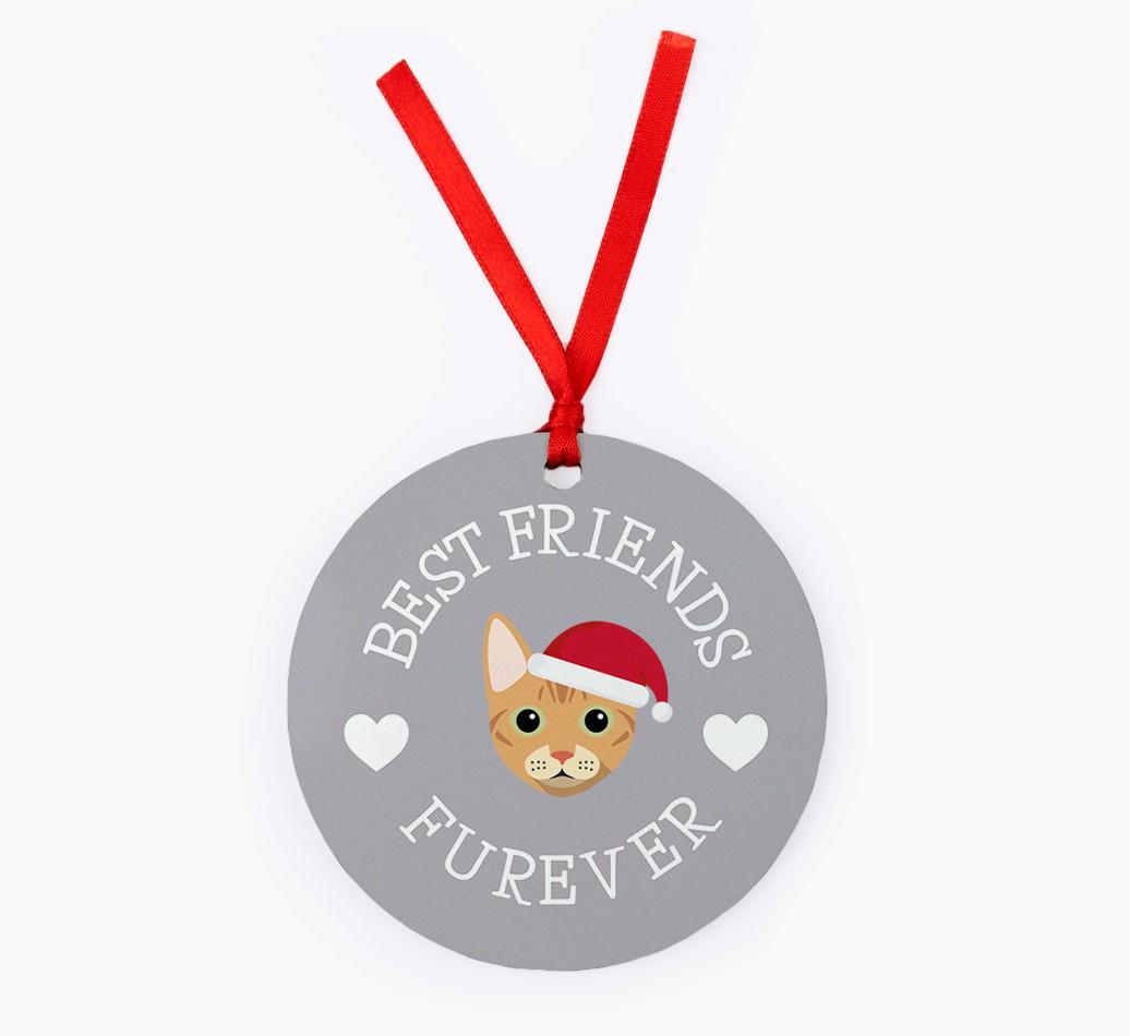 'Best Friends Furever' - {breedCommonName} Christmas Decoration