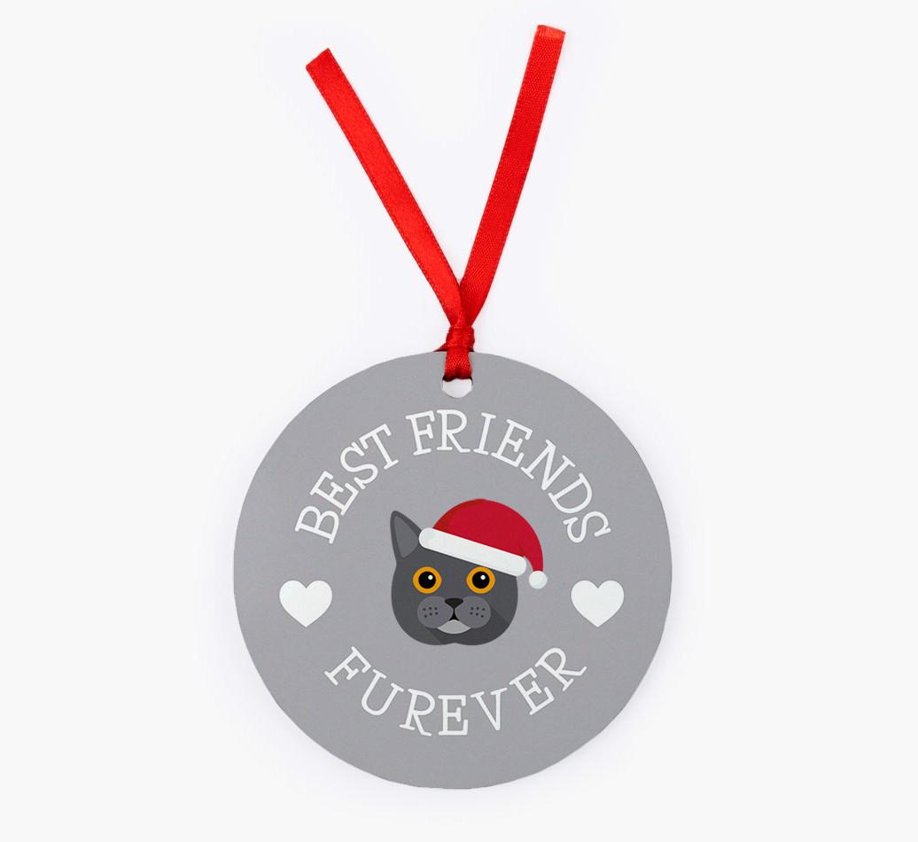 'Best Friends Furever' - {breedCommonName} Christmas Decoration