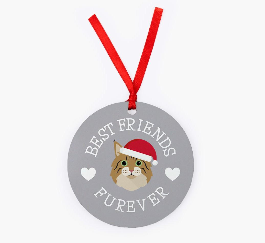 'Best Friends Furever' - {breedCommonName} Christmas Decoration