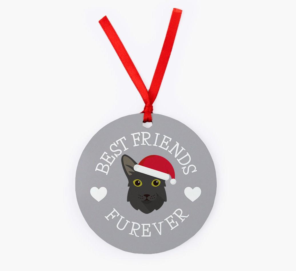 'Best Friends Furever' - {breedCommonName} Christmas Decoration