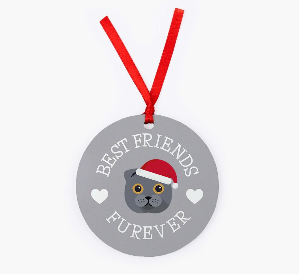 'Best Friends Furever' - {breedCommonName} Christmas Decoration