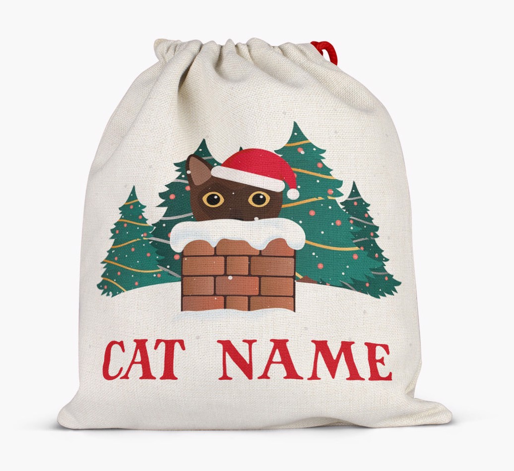 Peeking Cat with Santa Hat: Personalised {breedCommonName} Santa Sack