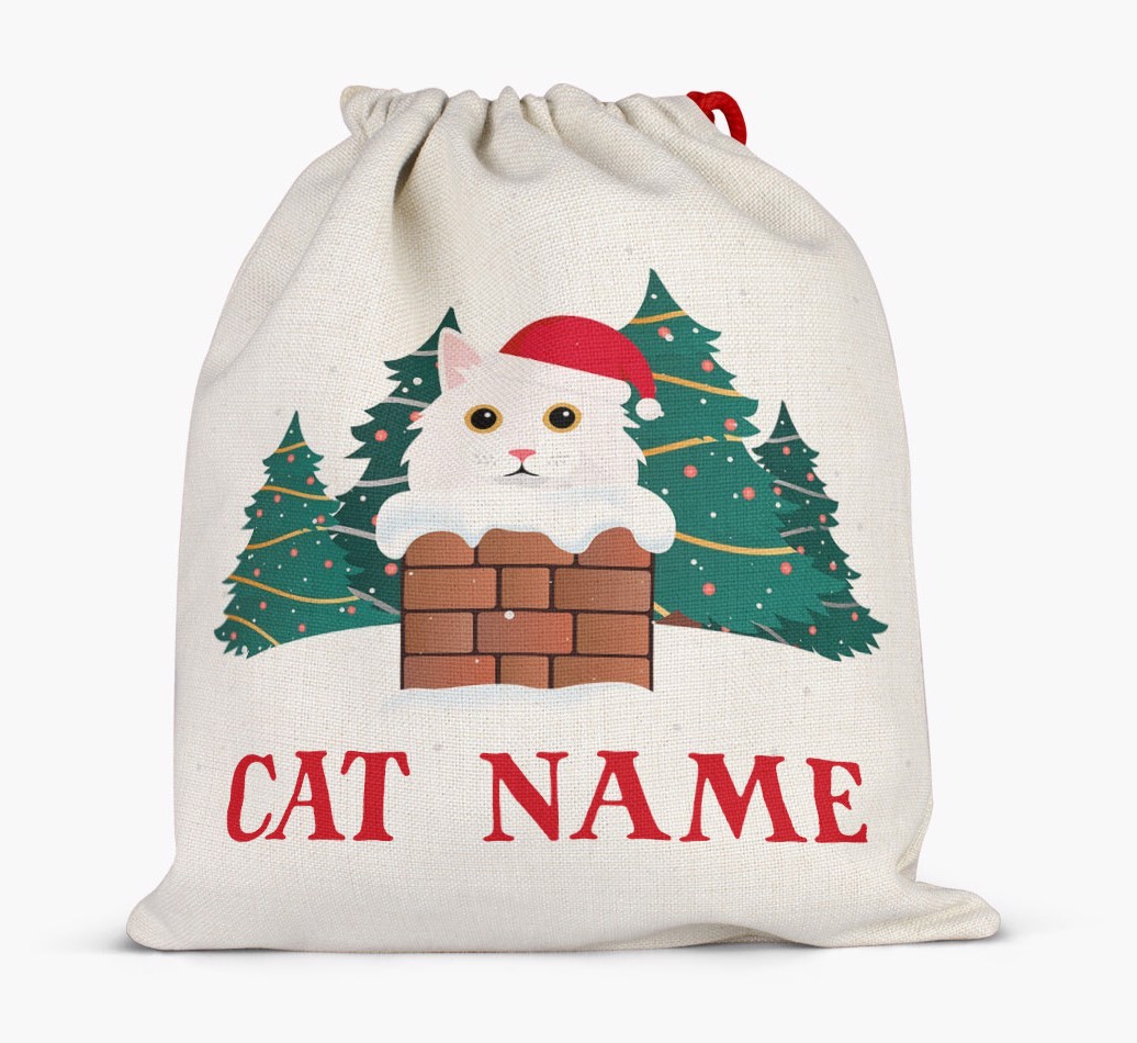 Peeking Cat with Santa Hat: Personalised {breedCommonName} Santa Sack