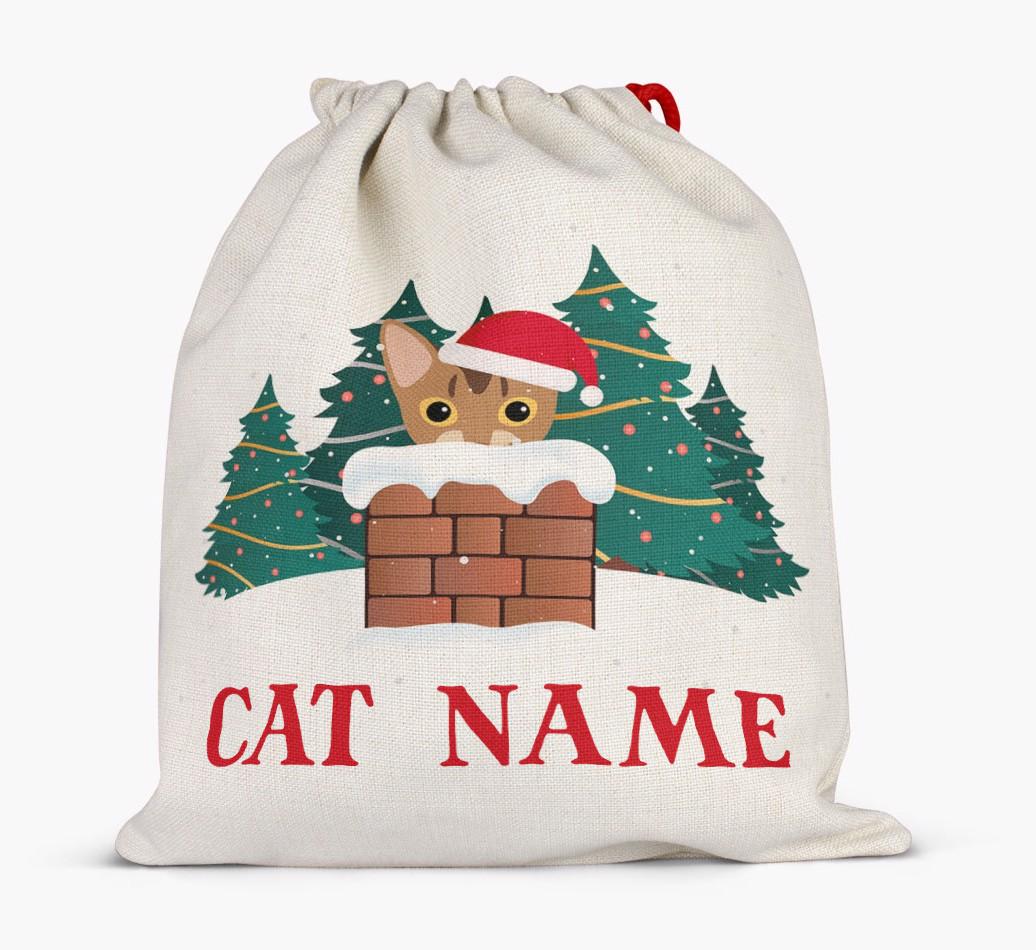 Peeking Cat with Santa Hat: Personalised {breedCommonName} Santa Sack