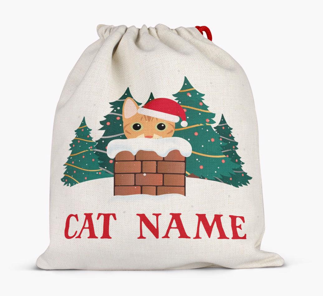 Peeking Cat with Santa Hat: Personalised {breedCommonName} Santa Sack