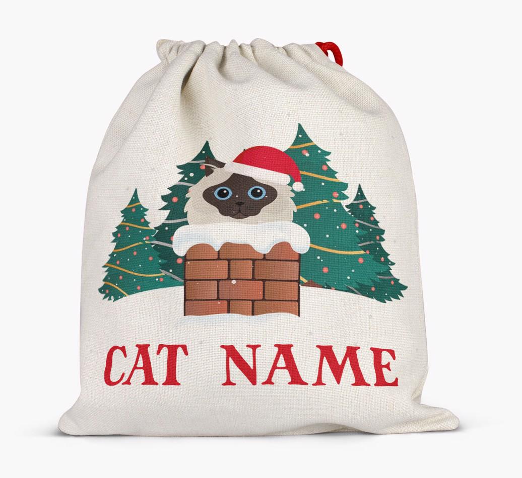 Peeking Cat with Santa Hat: Personalised {breedCommonName} Santa Sack