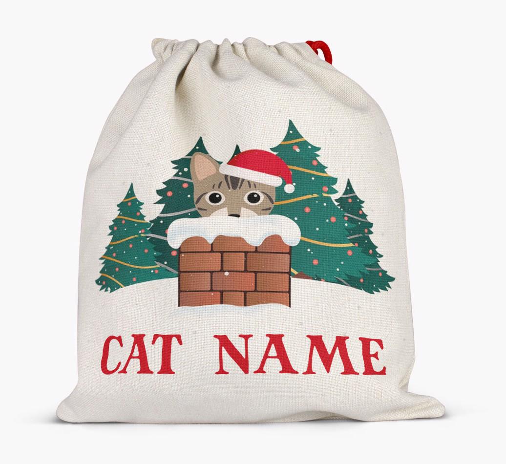 Peeking Cat with Santa Hat: Personalised {breedCommonName} Santa Sack